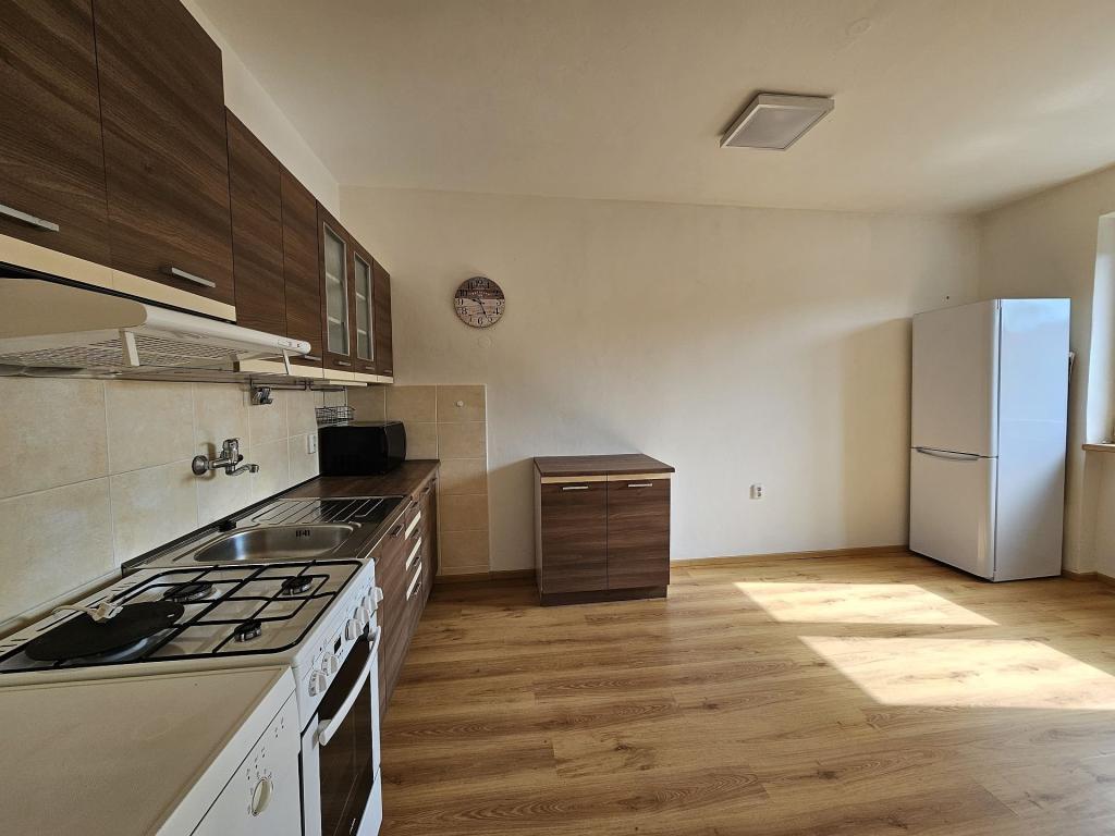 Pronájem bytu 1+1 45 m2