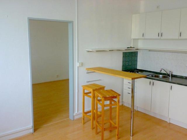 Pronajem bytu 2+kk 46 m2