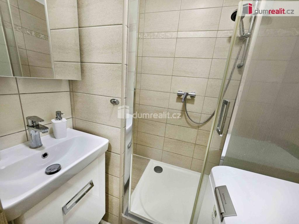Pronájem bytu 2+1 54 m2, Lovosice – náhled fotky 10