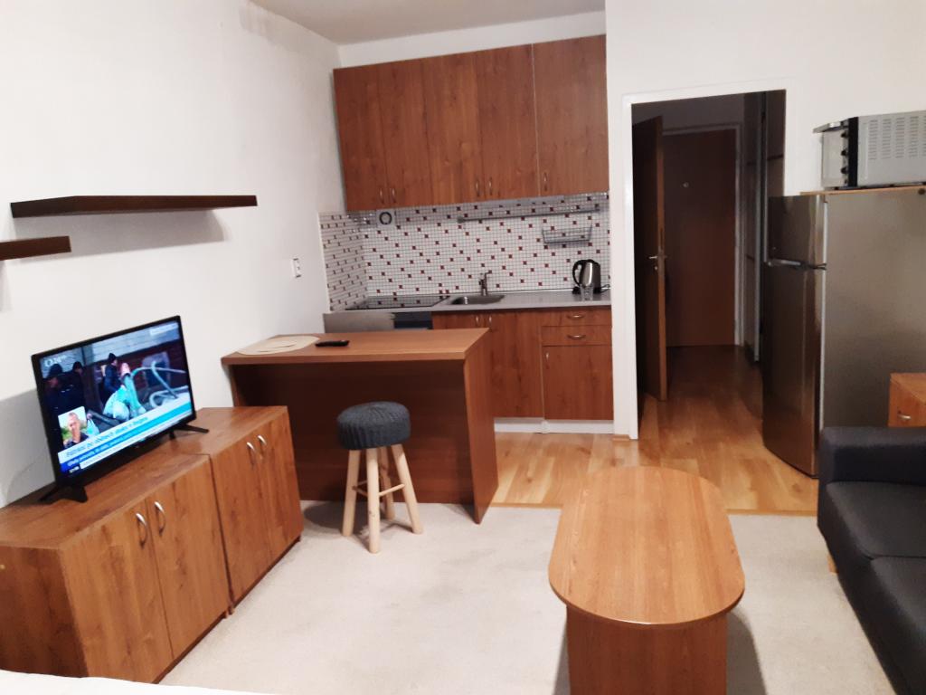 Pronajem bytu 1+kk 24 m2
