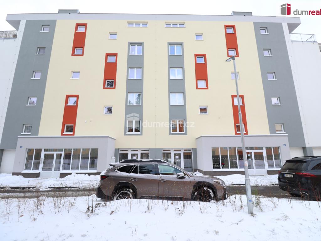 Pronájem bytu 2+kk 39 m2, Nová Role – náhled fotky 18
