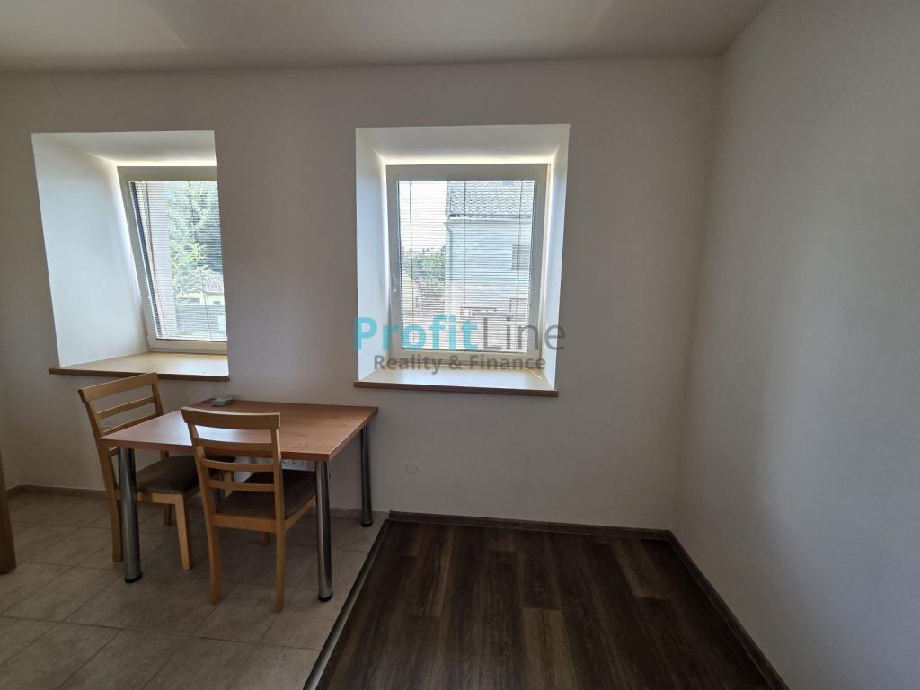 Pronájem bytu 1+kk 38 m2