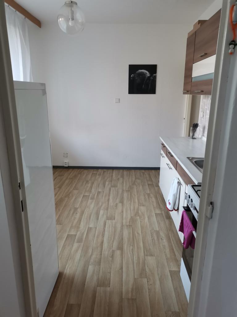 Pronájem bytu 1+1 44 m2