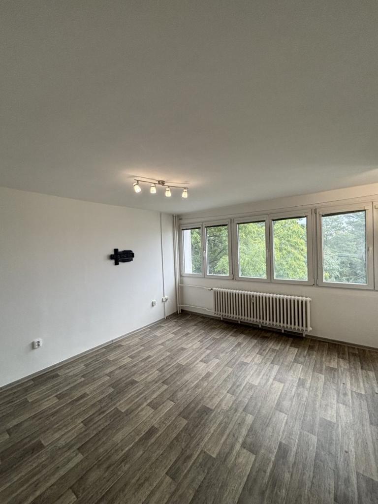 Pronájem bytu 1+kk 28 m2