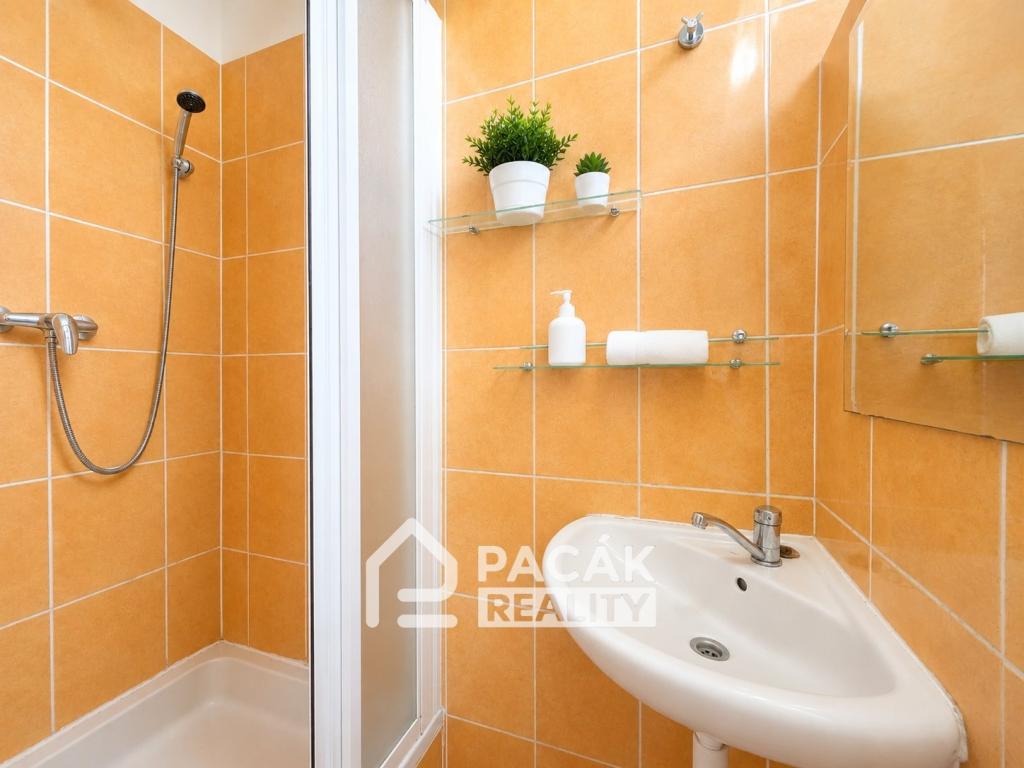 Pronájem bytu 1+kk 24 m² - Widok 6