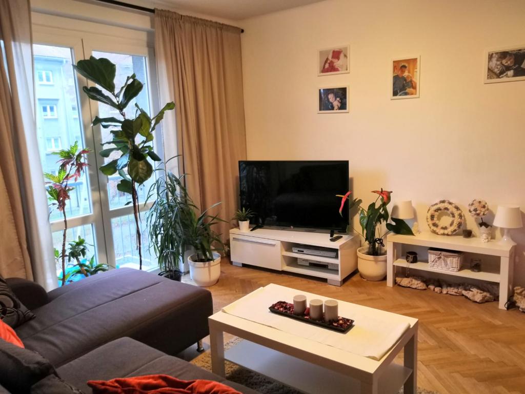 Pronajem bytu 2+1 49 m2
