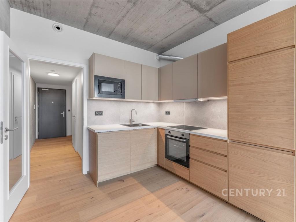 Pronájem bytu 1+kk 33 m2