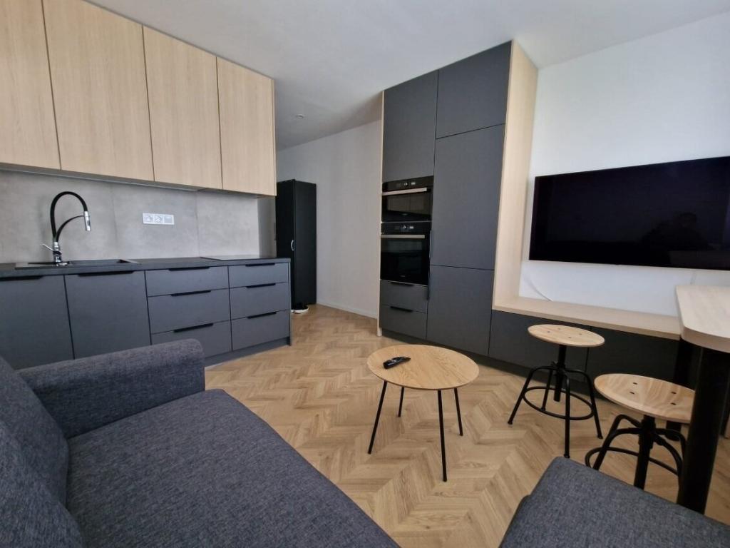 Pronájem bytu 1+1 48 m2