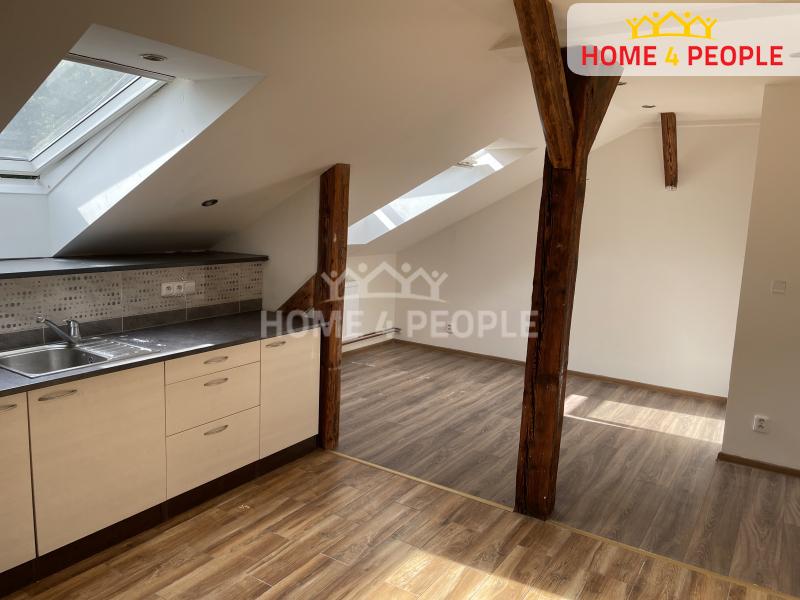 Pronájem bytu 1+kk 40 m2