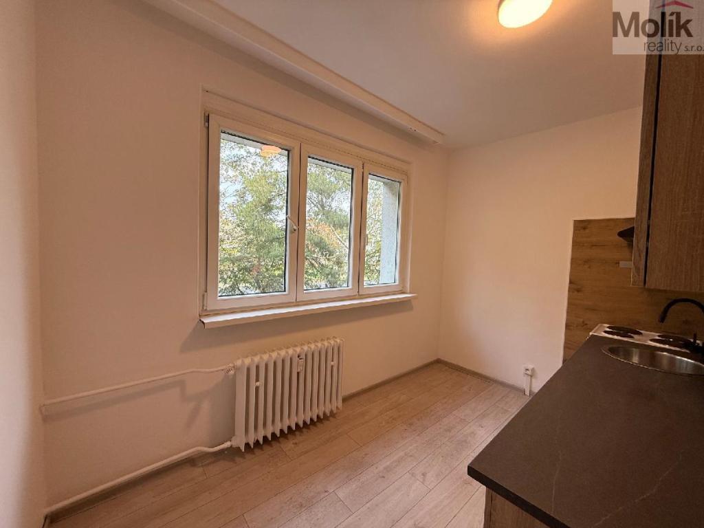 Pronájem bytu 2+1 55 m2, Bílina – náhled fotky 2