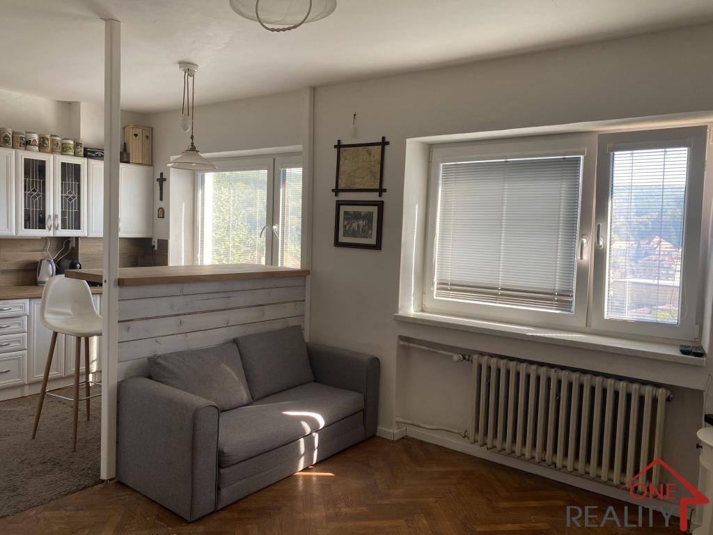 Pronájem bytu 1+kk 25 m2