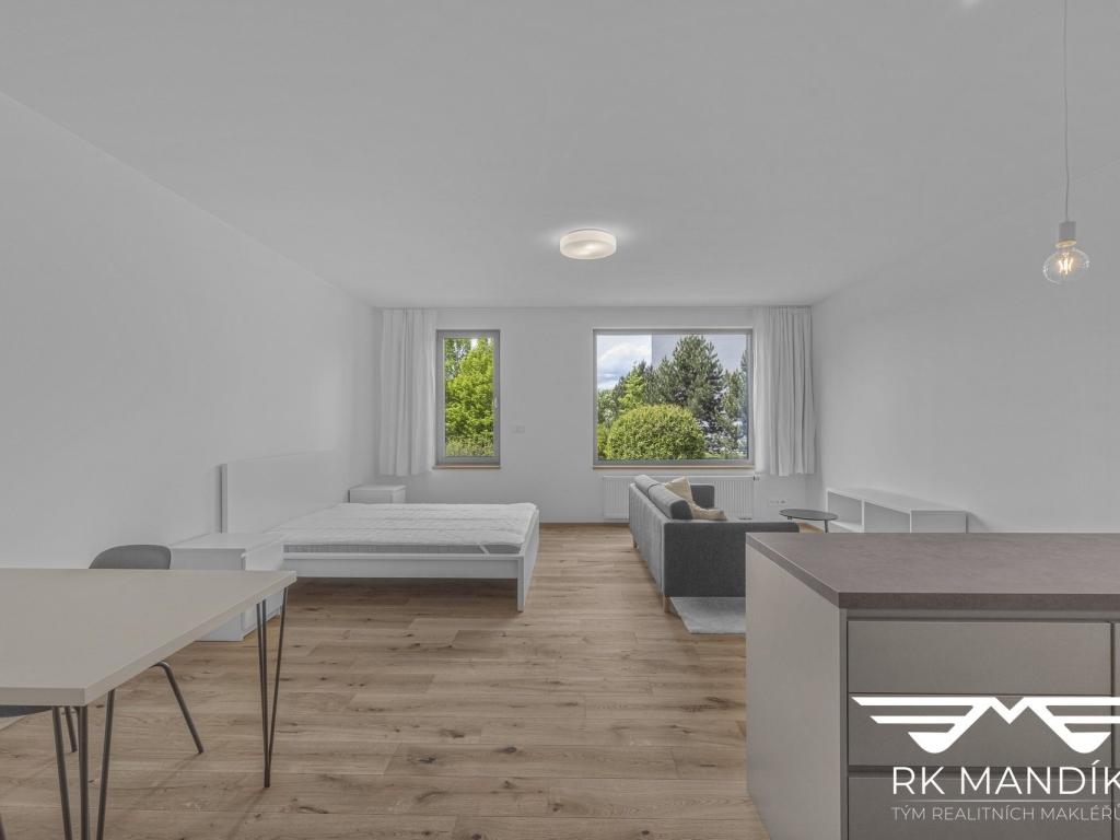 Pronájem bytu 1+kk 45 m² – pohled 6