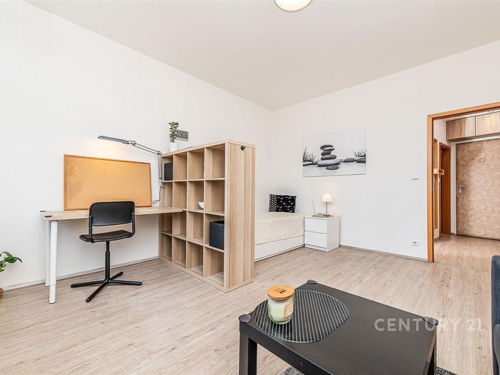 Pronájem bytu 1+1 30 m2