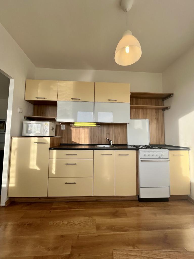 Pronájem bytu 1+1 37 m2