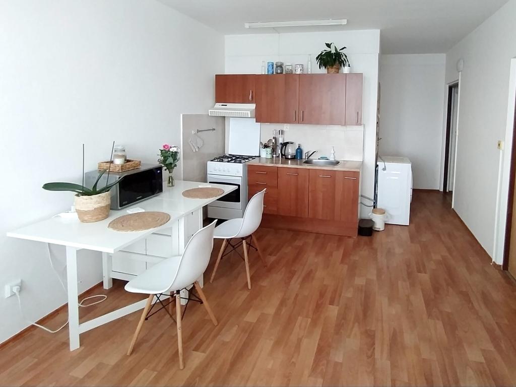 Pronajem bytu 2+kk 47 m2