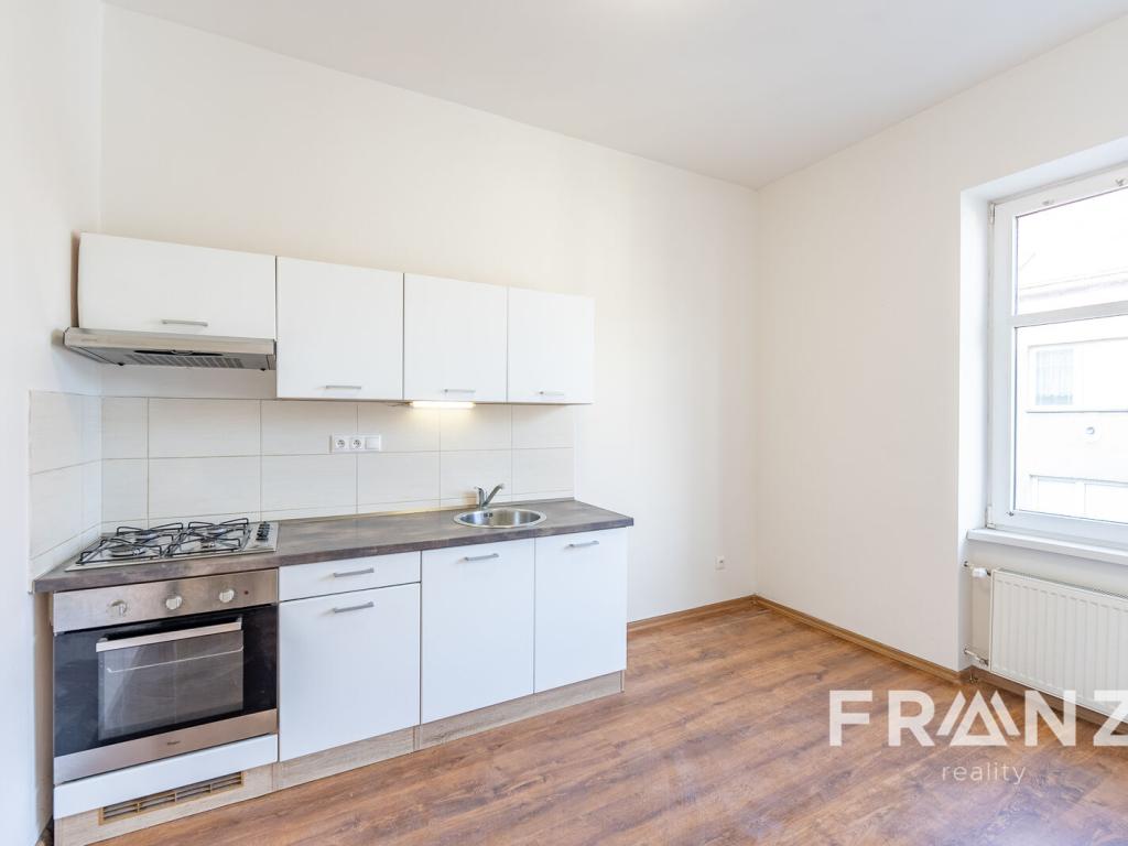 Pronájem bytu 1+1 48 m2