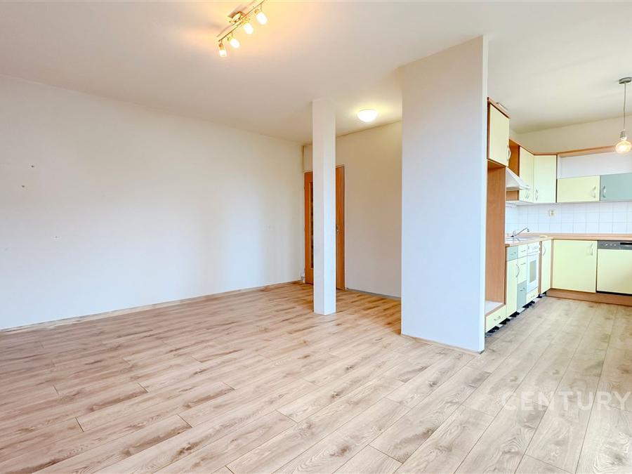 Pronájem bytu 1+kk 38 m2