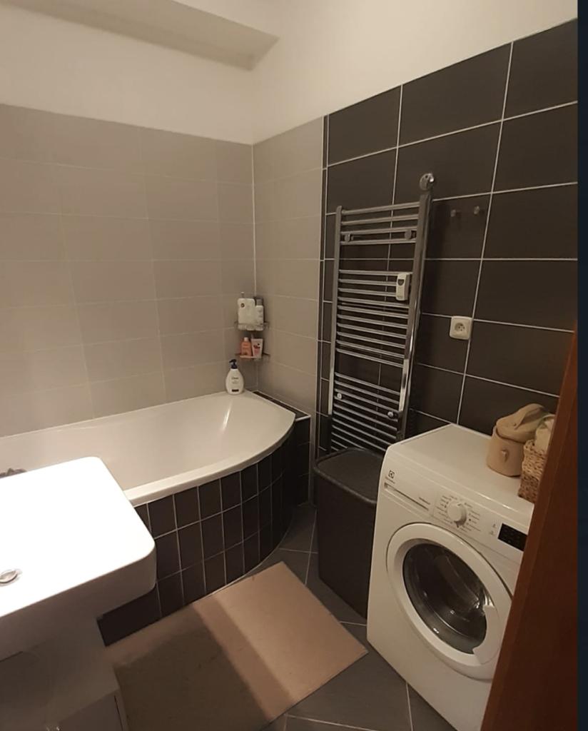 Pronajem bytu celý pokoj 12 m2