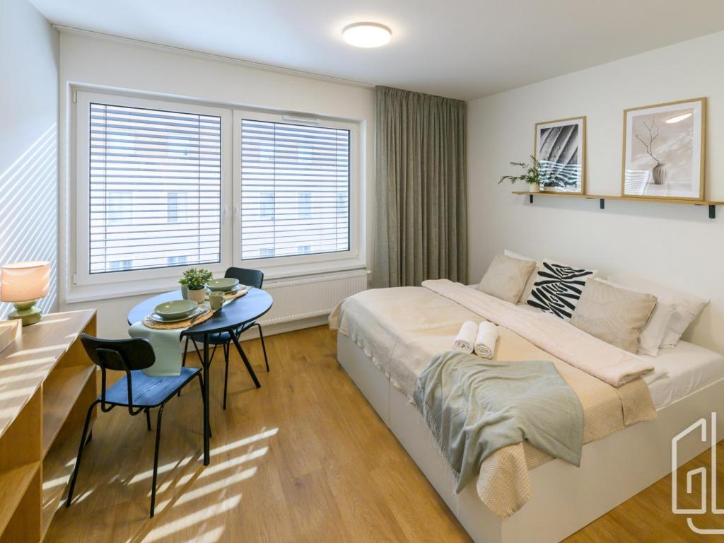 Pronájem bytu 1+kk 28 m2