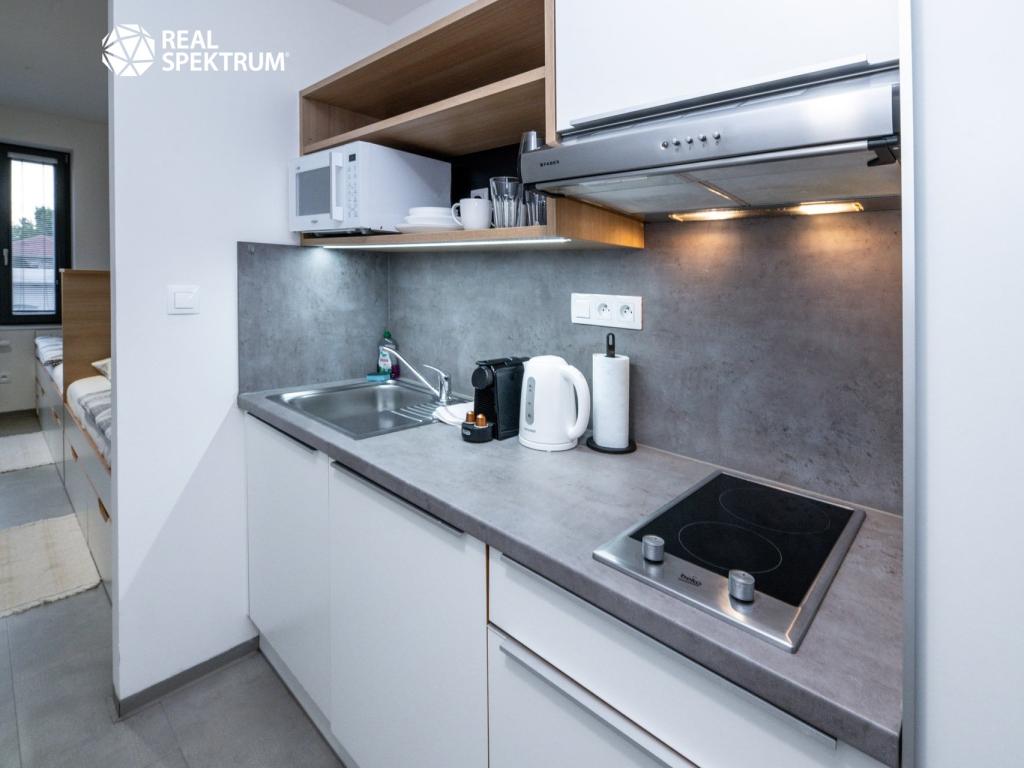 Pronájem bytu 1+kk 24 m2