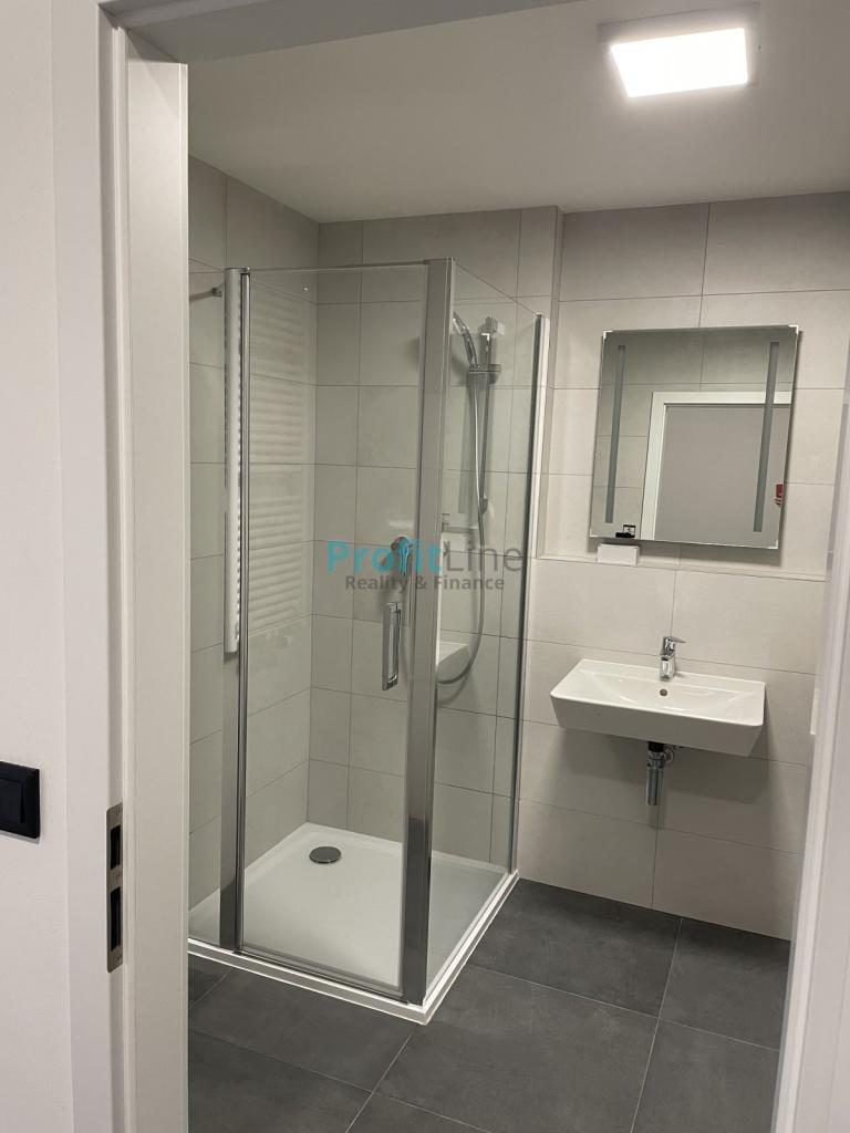 Pronájem bytu 1+kk 50 m2