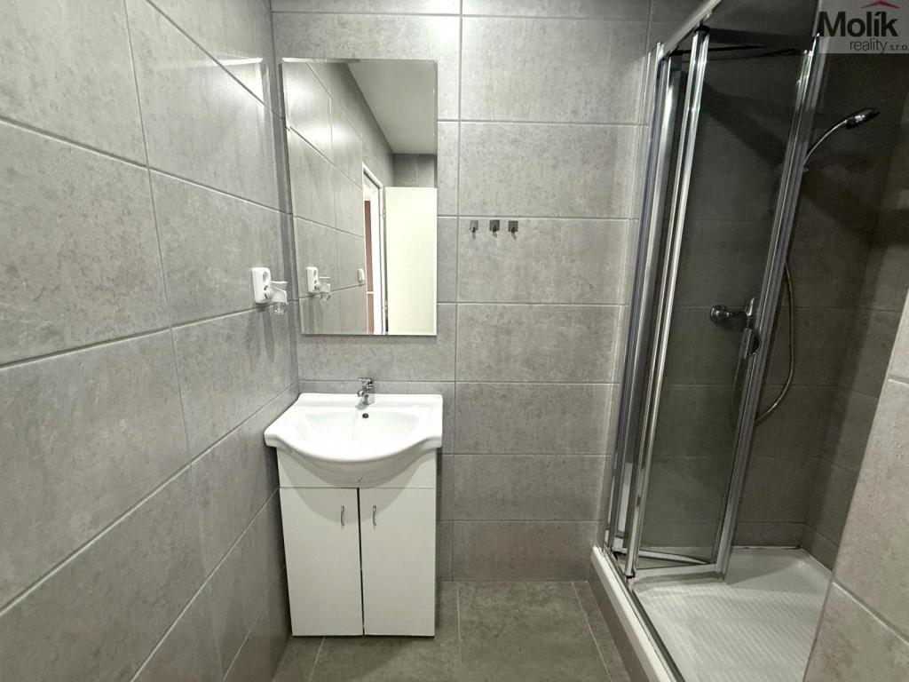 Pronájem bytu 1+1 37 m2