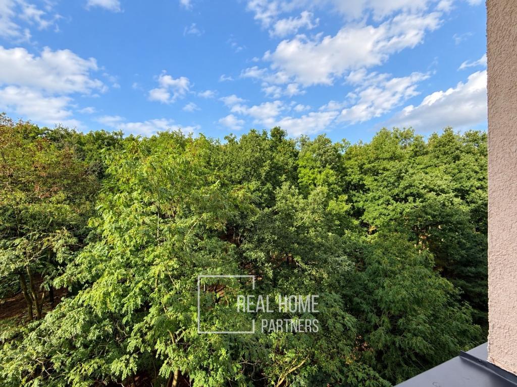 Pronájem bytu 3+1 73 m2, Brno – náhled fotky 13