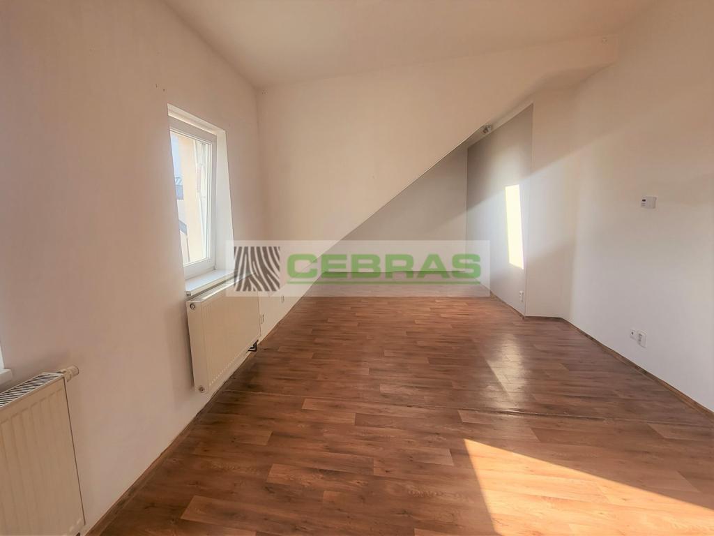 Pronájem bytu 1+kk 50 m2