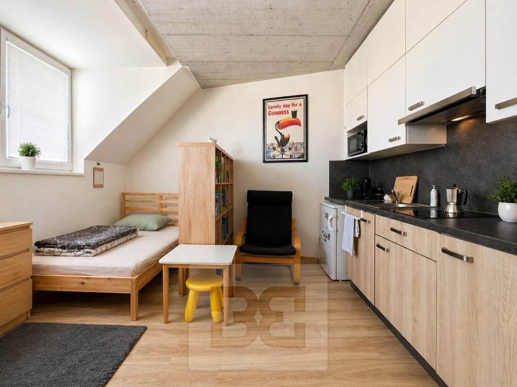 Pronájem bytu 1+kk 38 m2