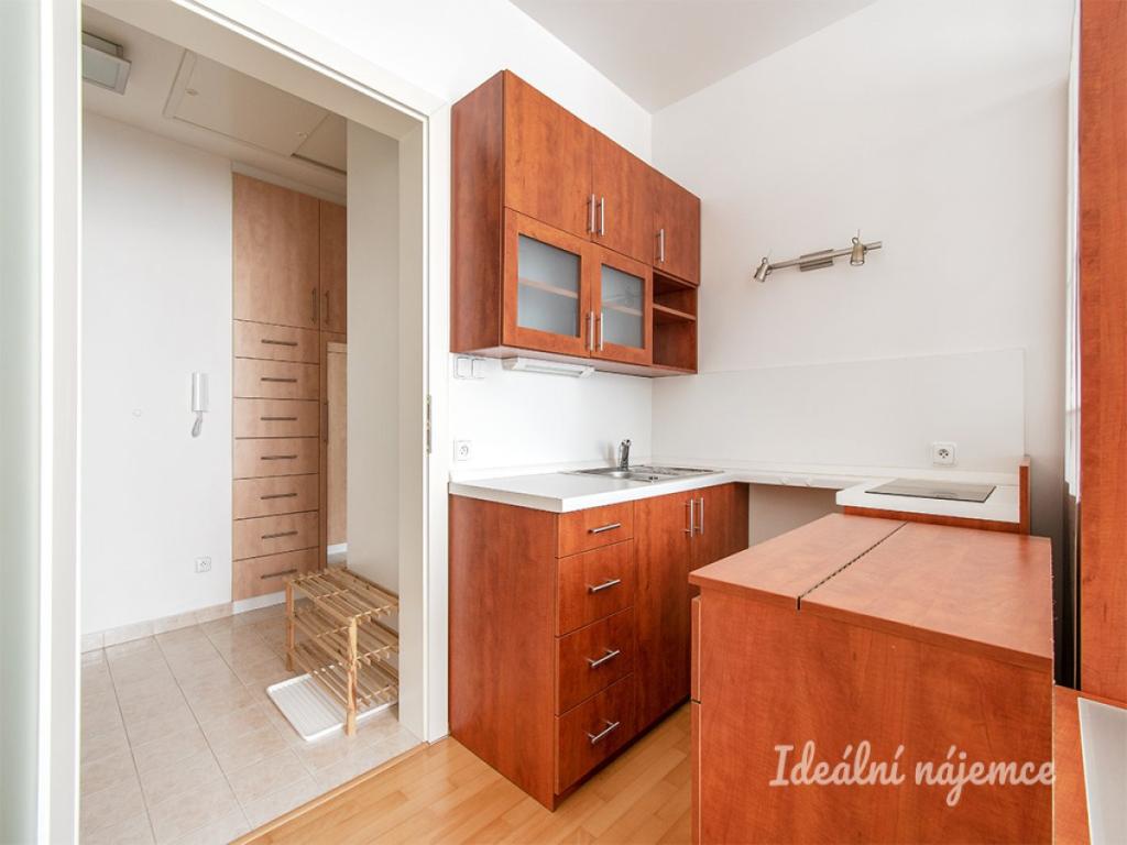 Pronájem bytu 1+kk 41 m2