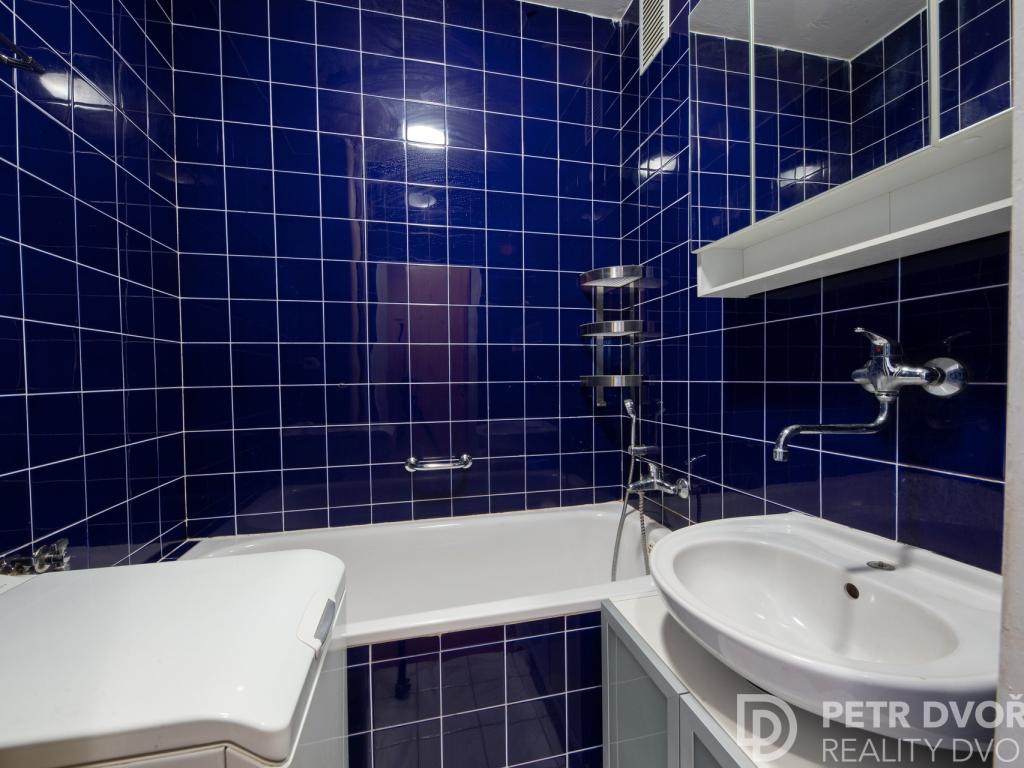 Pronájem bytu 2+1 55 m2