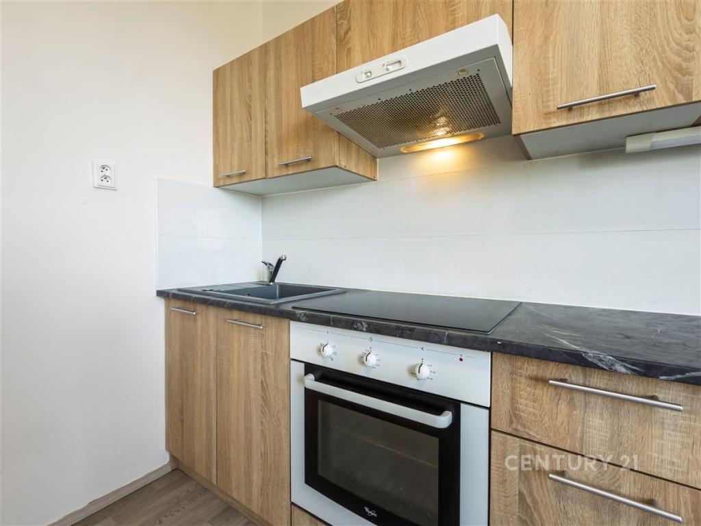 Pronájem bytu 1+1 40 m2