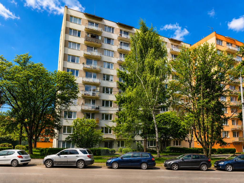 Pronájem bytu 3+1 63 m2
