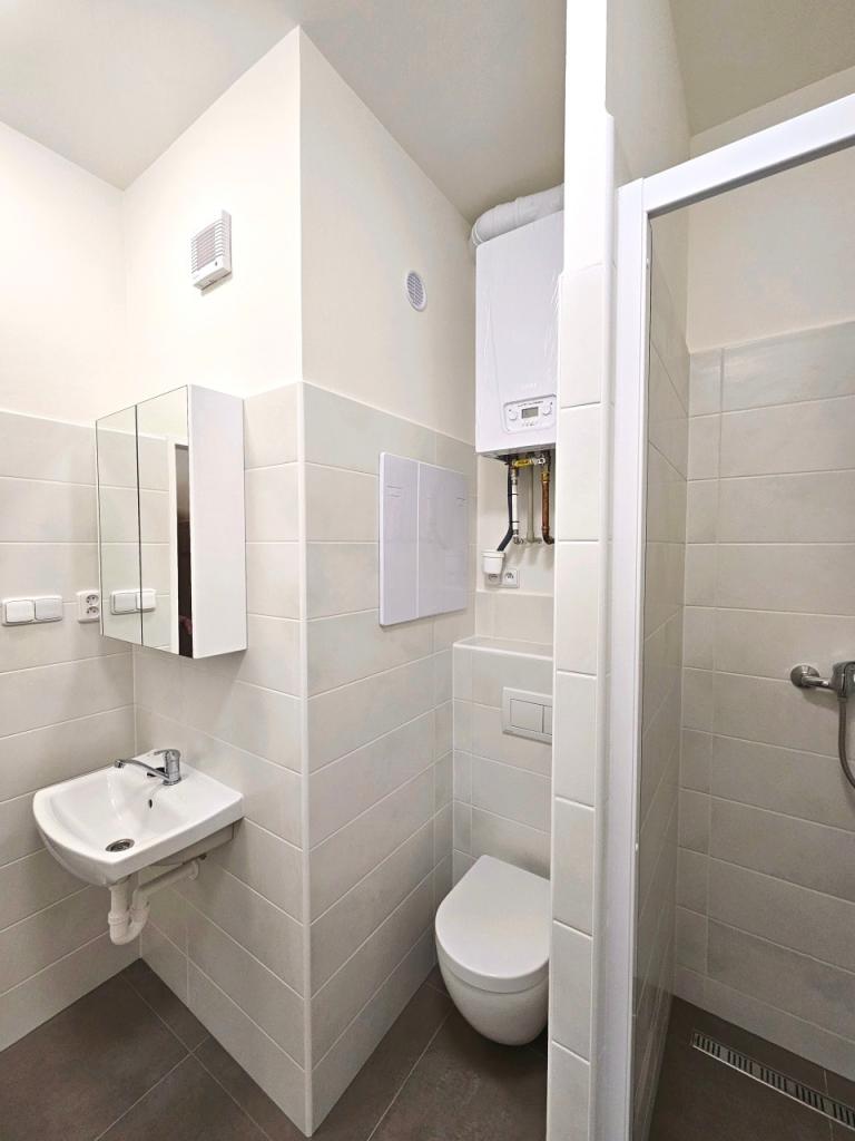 Pronájem bytu 1+1 45 m2