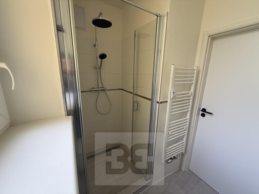 Pronájem bytu 2+kk 44 m² – další