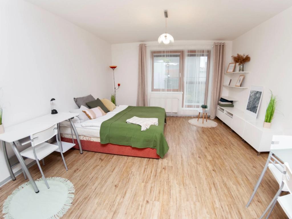 Pronájem bytu 1+kk 33 m2