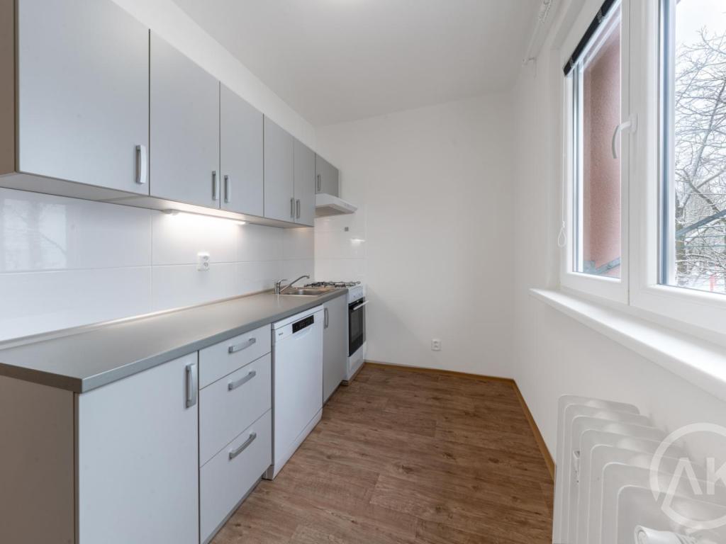 Pronájem bytu 1+1 39 m2