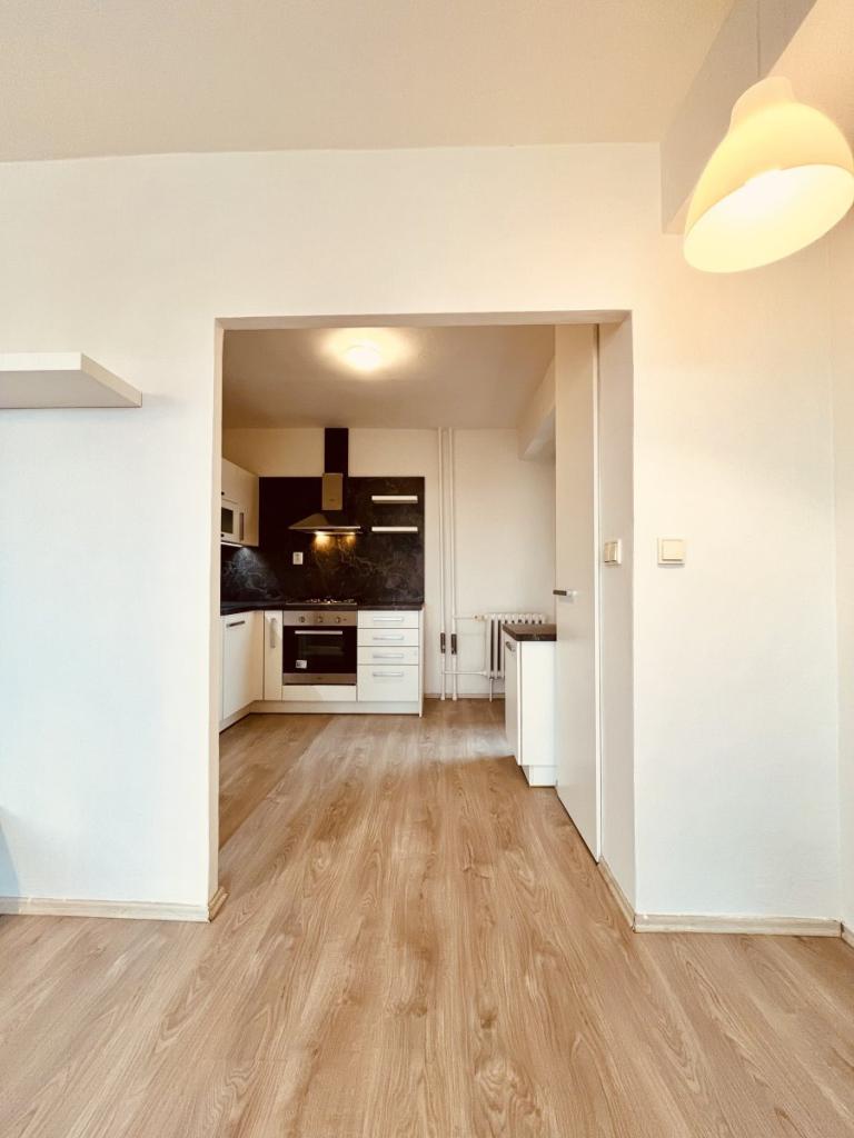 Pronájem bytu 2+1 54 m2