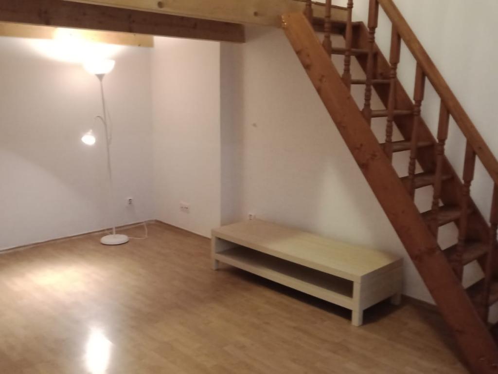 Pronajem bytu 1+1 46 m2