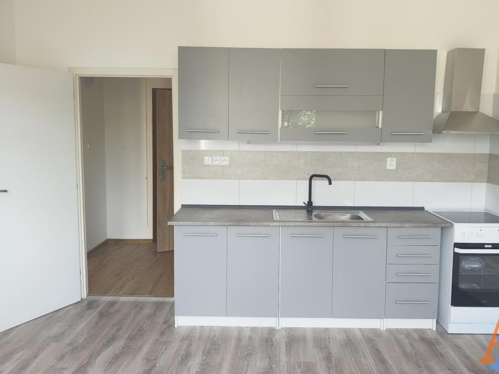 Pronájem bytu 1+1 40 m2