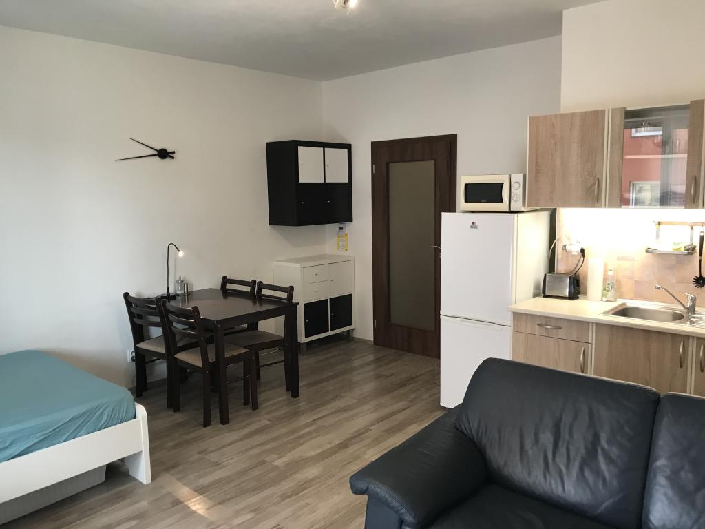 Pronajem bytu 1+kk 33 m2