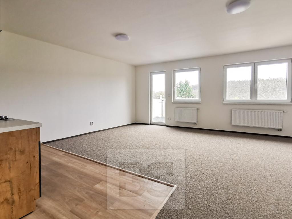 Pronájem bytu 1+kk 58 m2