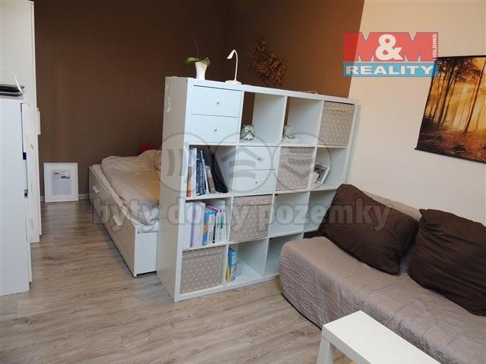 Pronajem bytu 1+1 30 m2