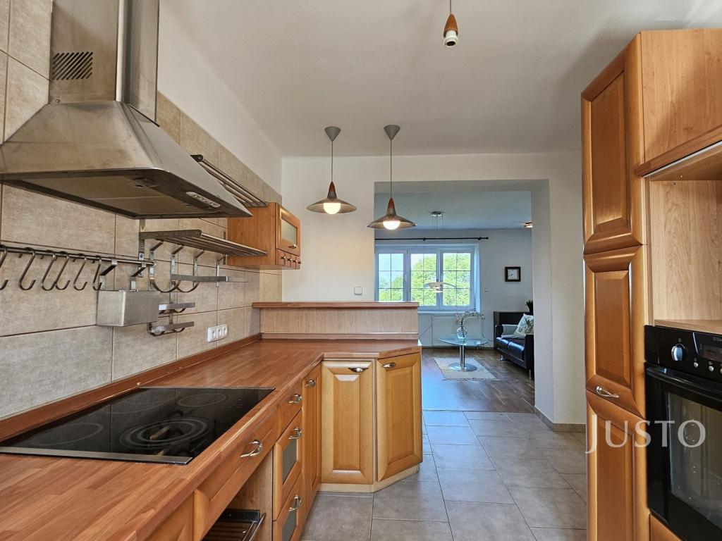 Pronájem bytu 1+1 55 m2