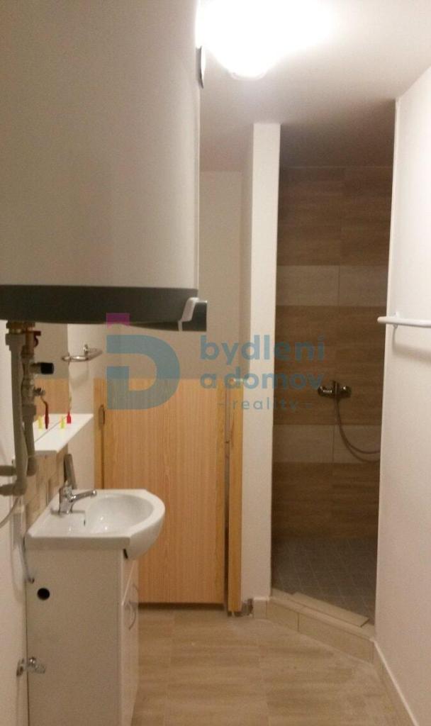 Pronájem bytu 1+1 45 m2