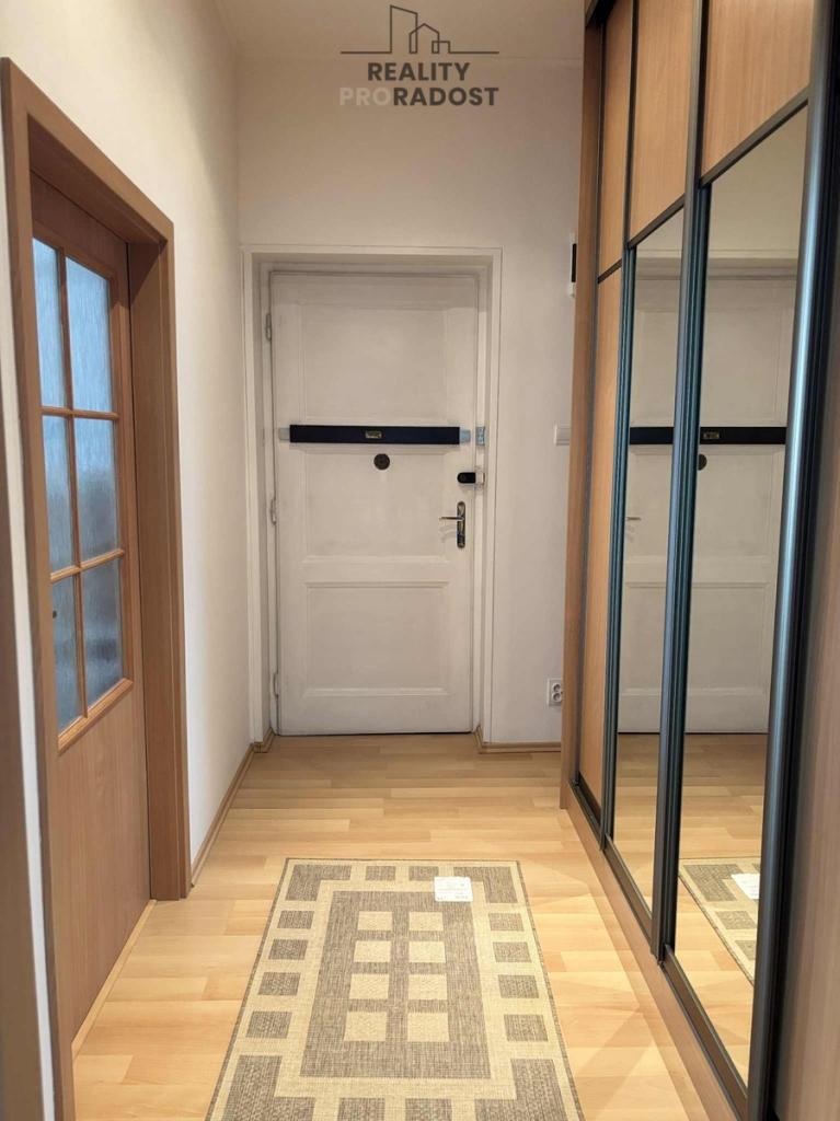 Pronájem bytu 1+kk 46 m2