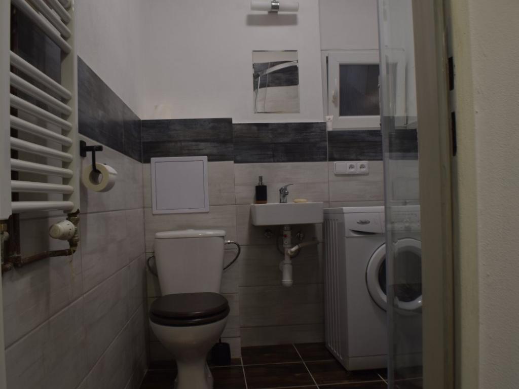 Pronájem bytu 1+1 45 m2