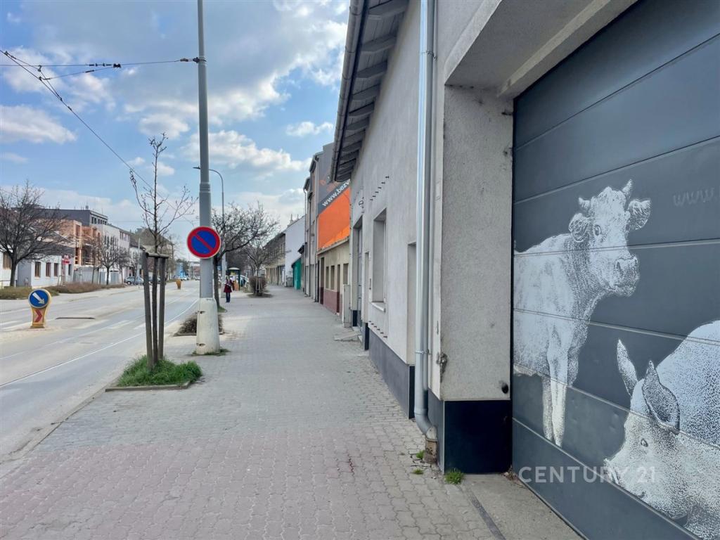 Pronájem bytu 5+kk 250 m2