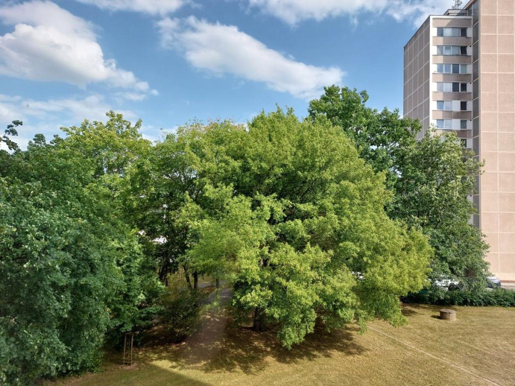 Pronájem bytu 1+kk 33 m2