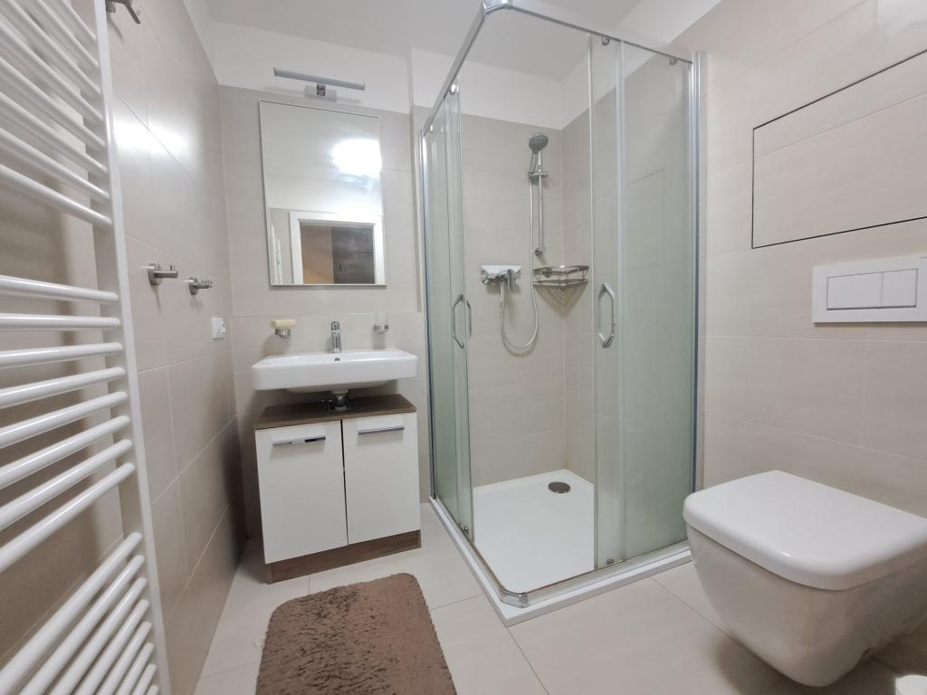 Pronájem bytu 1+kk 35 m2